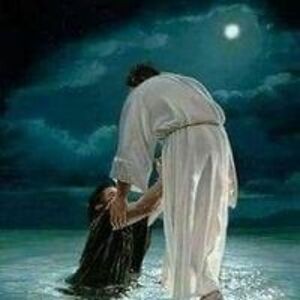 rivercitydotvn avatar