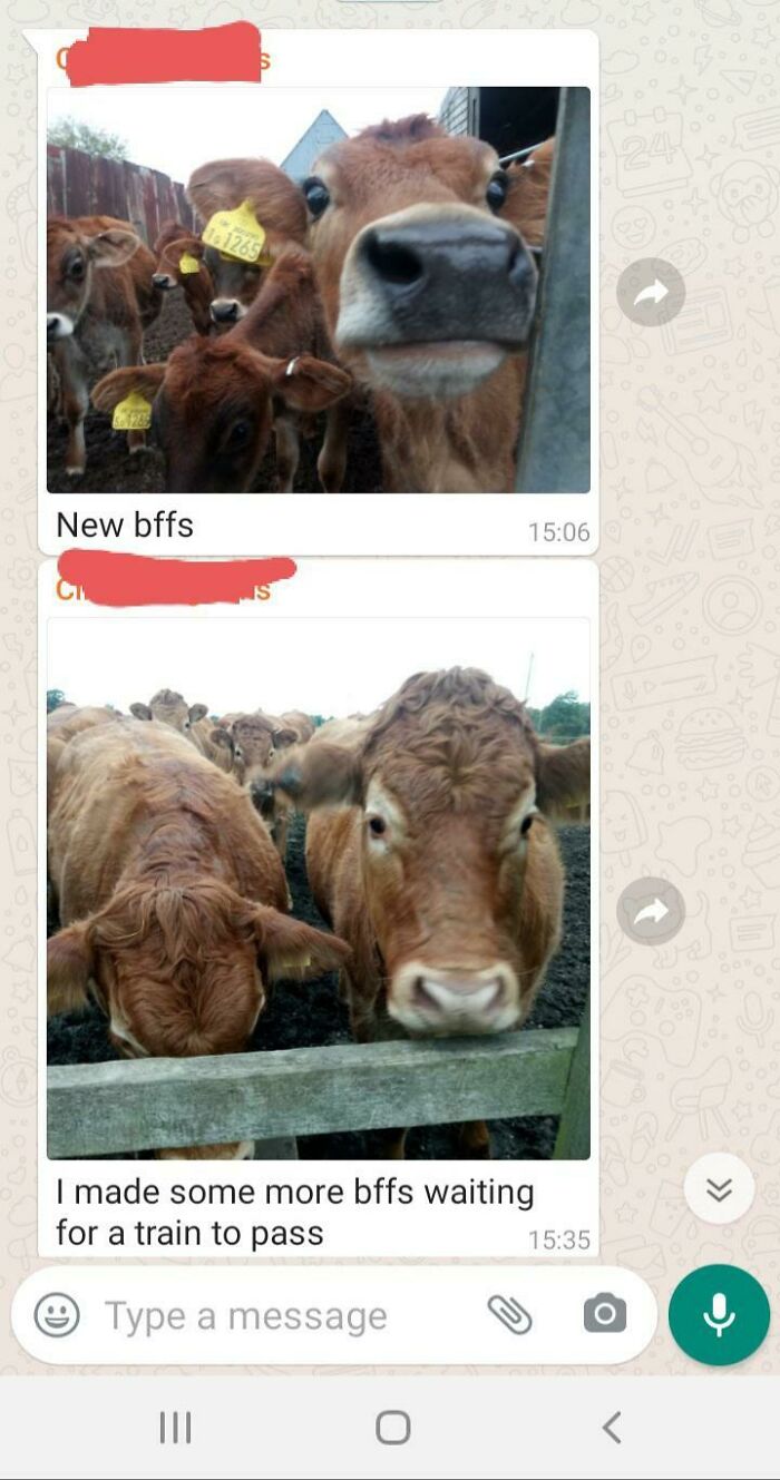 I Haven't Been Doing Too Great Today, But Then I Got These Texts From My Dad While He Was On A Walk And I Felt A Little Better