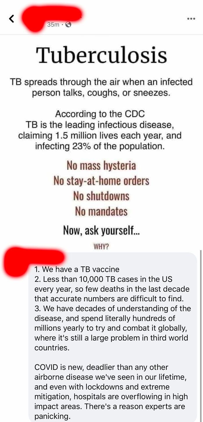 A Good Murder Always Is Nice To See