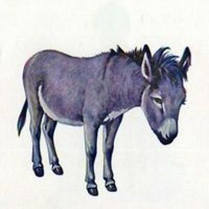 frank_twardzik avatar