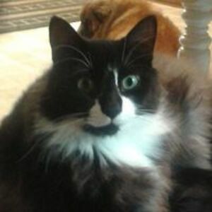 suefosterroderick avatar