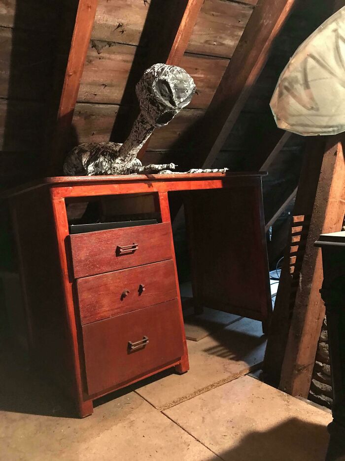 Moved Into A New Flat Today And This F***er Was In The Attic