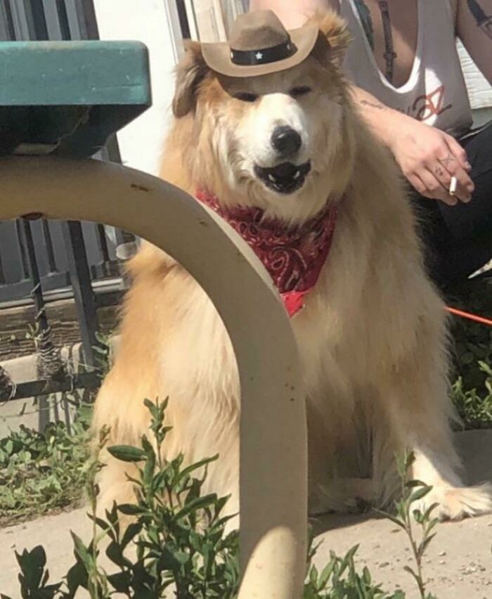 Next-Door Unit Named Grizzly Bear