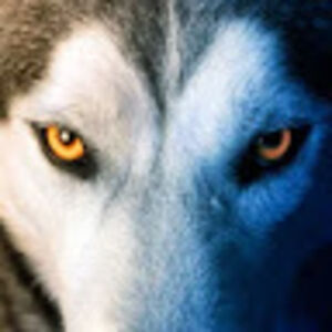 sarahjohnston89student avatar