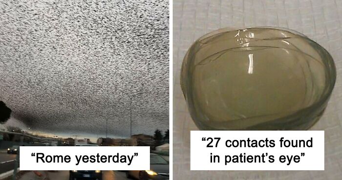 50 Of The Most WTF Images From The ‘WTF’ Online Group