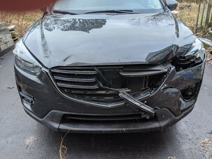 Got My Car Back From The Body Shop Saturday. Hit A Deer On Tuesday!