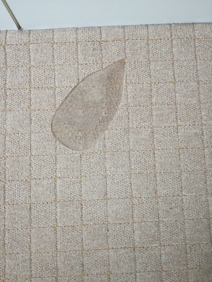 My Iron Fell And I Didn't Notice