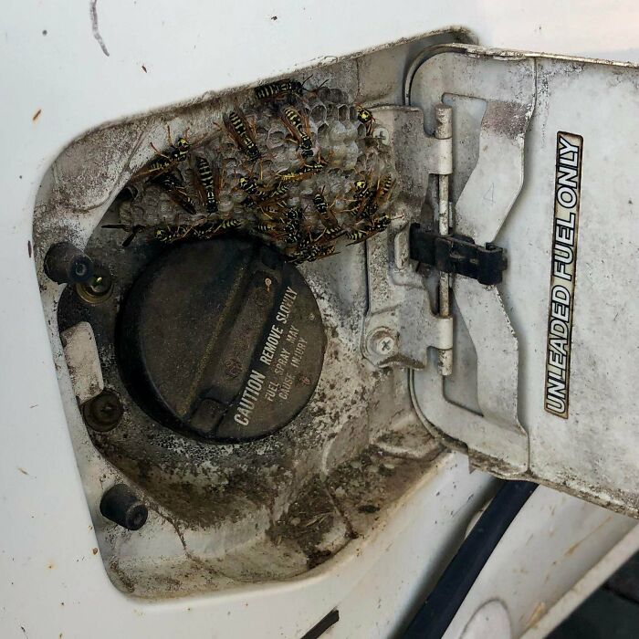 Borrowed My Neighbor’s Truck He Never Drives To Haul Some Stuff. Wanted To Be Nice And Bring It Back Filled Up Since It Was Almost Empty When I Got It