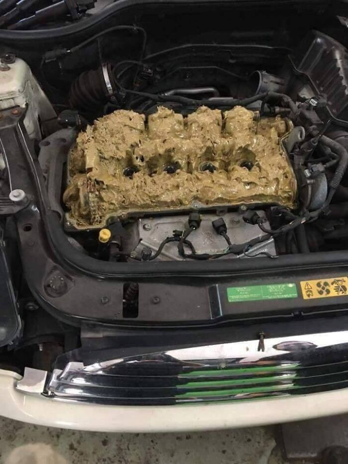 A Woman Put 1.5 Gallons Of Windshield Washer Liquid Instead Of Oil