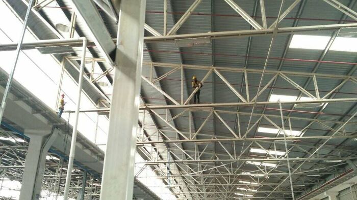 The Supervisor Asked Me To Delete The Picture As Well. No Harness On Either Of Them