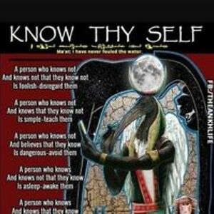 northdnvrnonzombie avatar