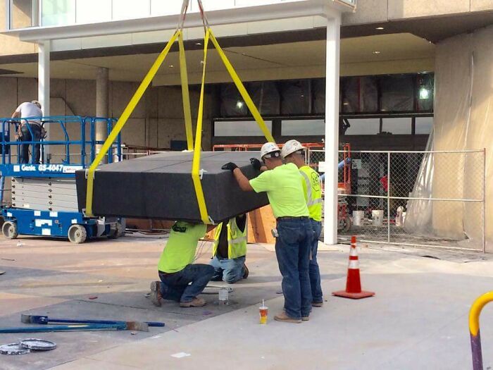 No Actual Words For This Level Stupid