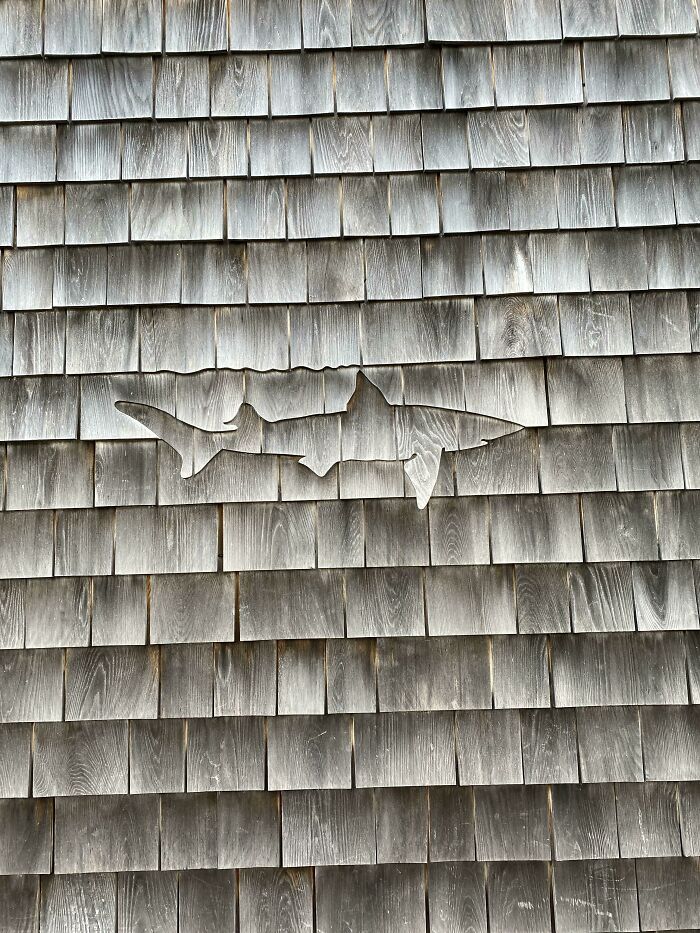 This Shark Outline In Wood Siding.