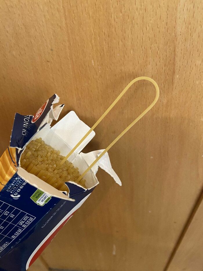 This Double Length Curved Spaghetti