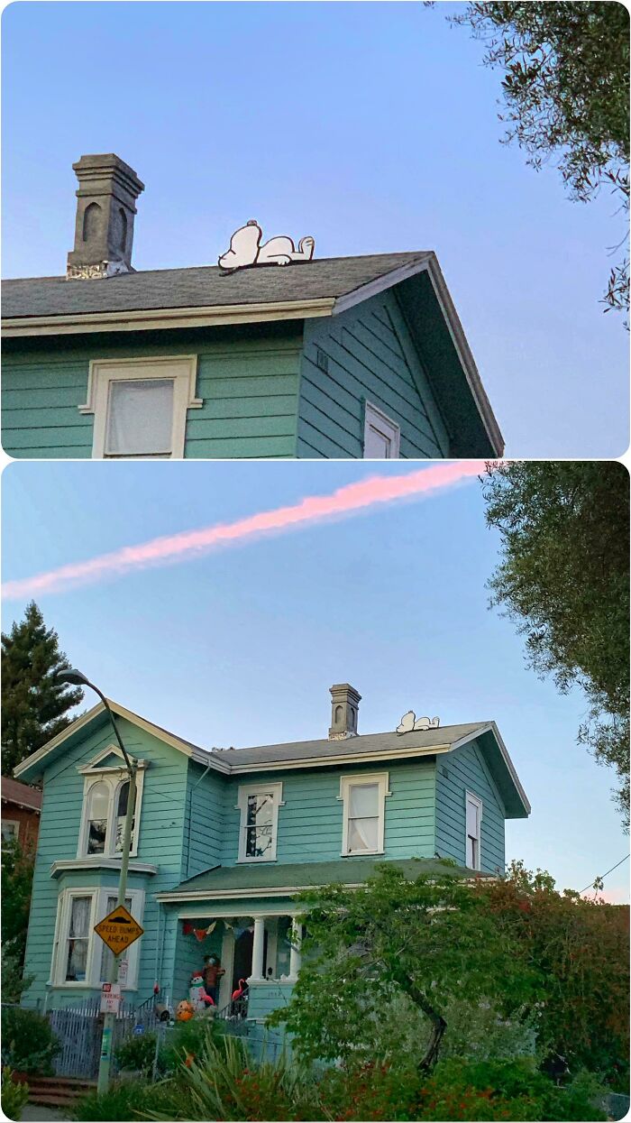 Found A Snoopy House On My Walk