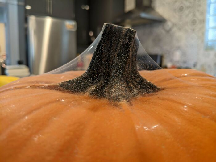 The Spiderweb On My Pumpkin Looks Like Plastic Wrap