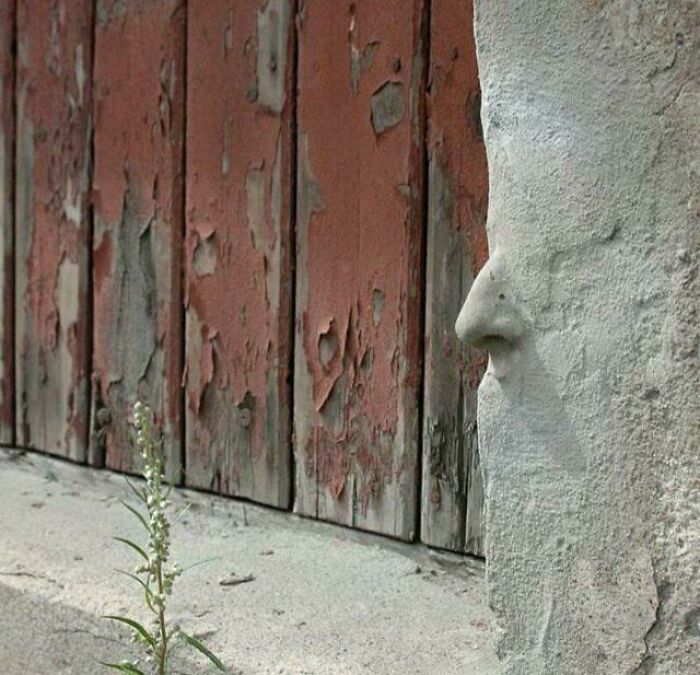 This Wall With A Nose