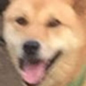 jasonhaynes_1 avatar