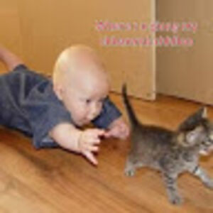 elizabethsieben avatar