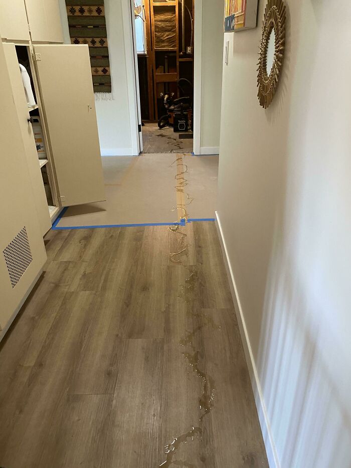 Our Dog Peed Down The Entire Hallway Today