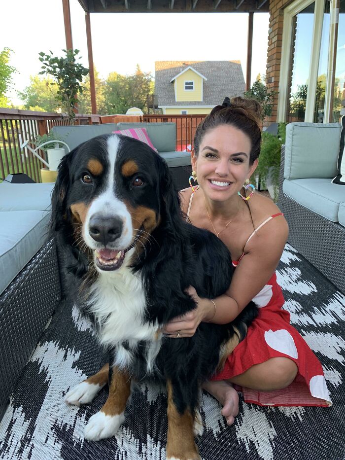 95 Lbs And He Still Thinks He’s A Lap Dog