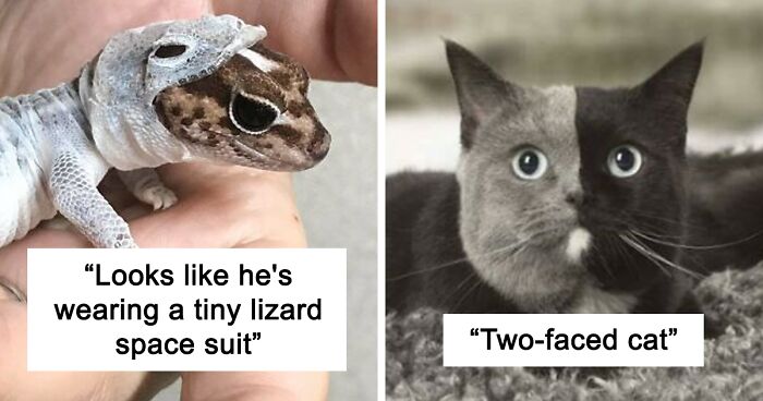 This Online Group With 7 Million Members Shares Only The Most Interesting Pics Ever, And Here’re 50 Of The Best Ones