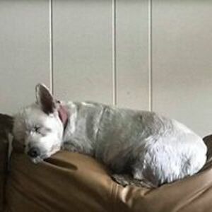 michael46jura avatar