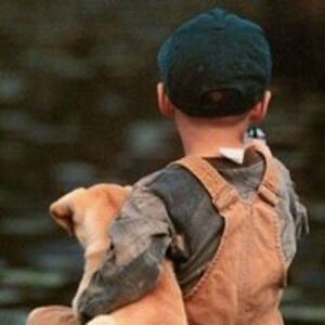 littlebird135 avatar