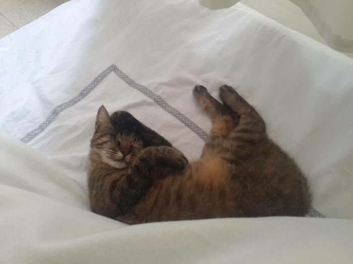 Went To Sleep With A Window Open, Woke Up With A Guest