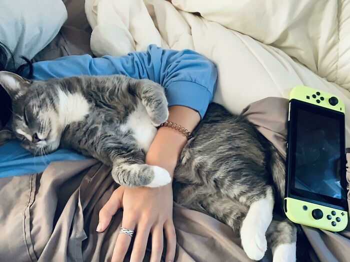 My Cat Loves To Sleep Like This And It’s Undeniably The Cutest Thing I’ve Ever Experienced