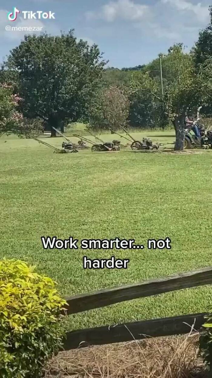 Next Level Lawnmowing