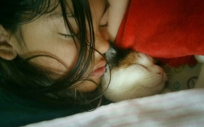 My Daughters Cat Sleeps With Her