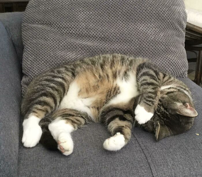 Please Scroll Softly, I Am Trying To Sleep