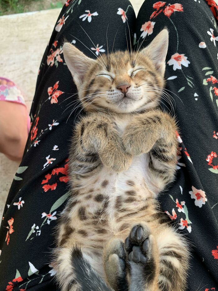 She Sure Is Really Happy When Sleeping