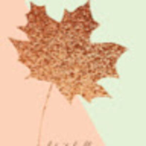 sherlynhernandezmartinezstudent avatar