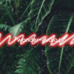 moroccanchamomile avatar