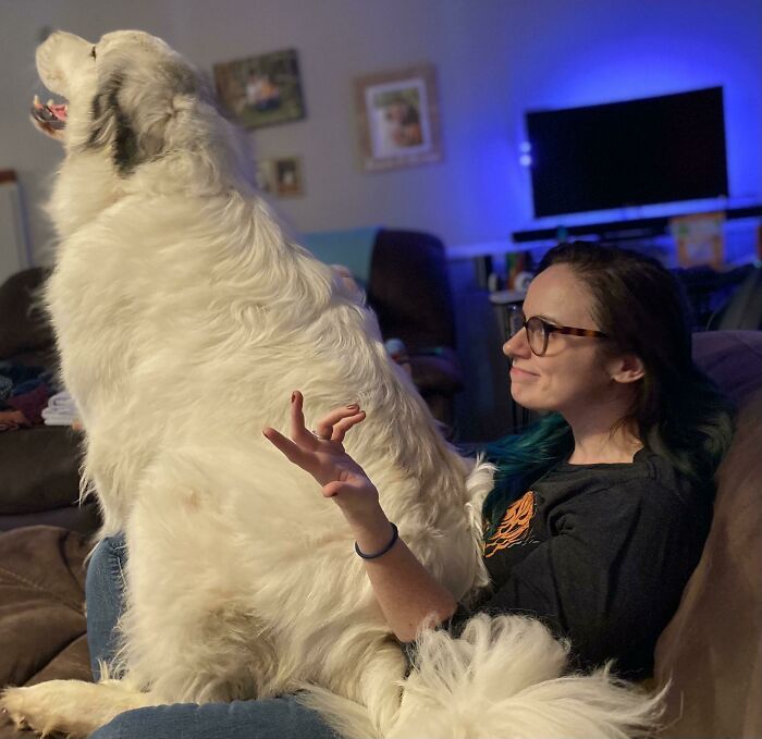 Little Derp Will Never Be Too Big For The Couch