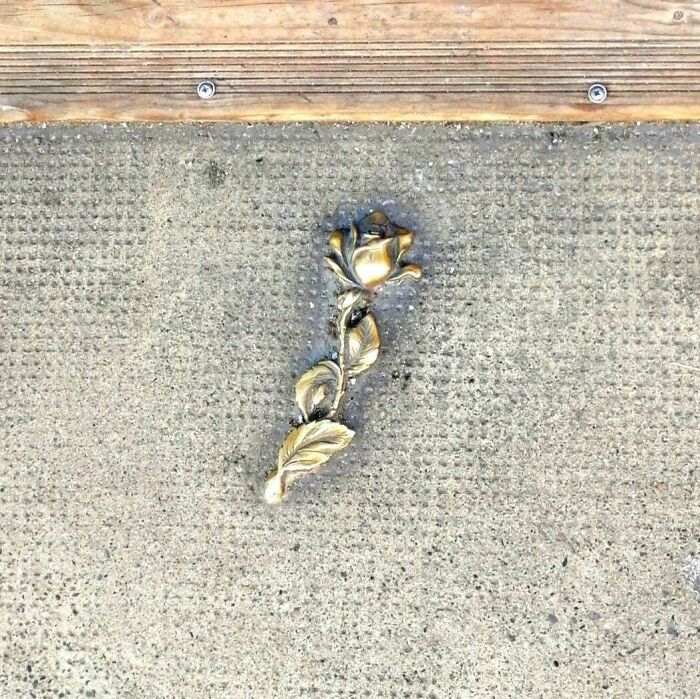 Strange Metal Rose. About 3 Or 4 Inches Long, Embedded In Concrete In Front Of A Pub. I Have No Idea What It's Supposed To Represent, Hoped Someone Here Might!