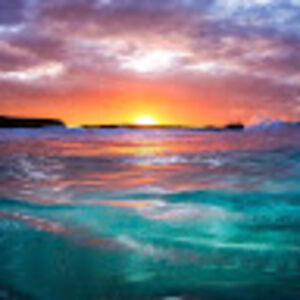 oliviasilverio avatar