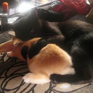 mrsmaynard1969 avatar