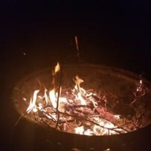 felicia_elias avatar