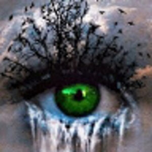 sondraoppedisano avatar