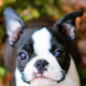 kayleehernandez avatar