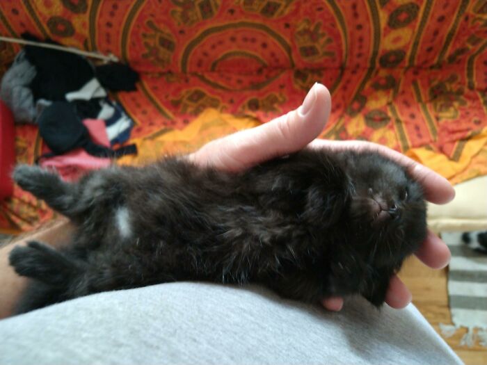 I Potata Sleep Here Ok?