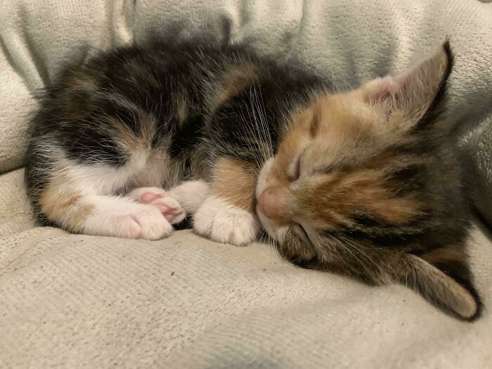 Sleeping Between Her Crimes