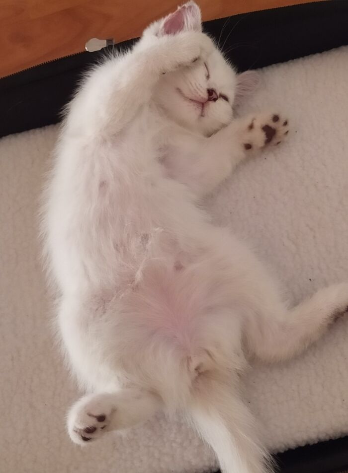 Heres A Photo Of Lina Sleeping