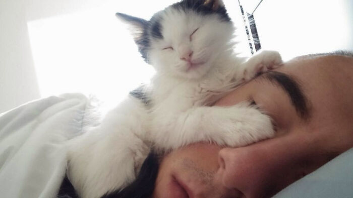 Tiny Criminal Attempts To Smother Owner In His Sleep