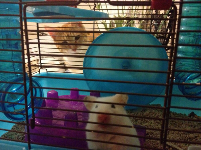 He's Right Behind Me... Isn't He