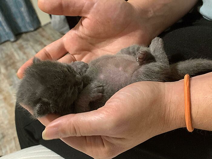 Too Smol To Sleep Alone