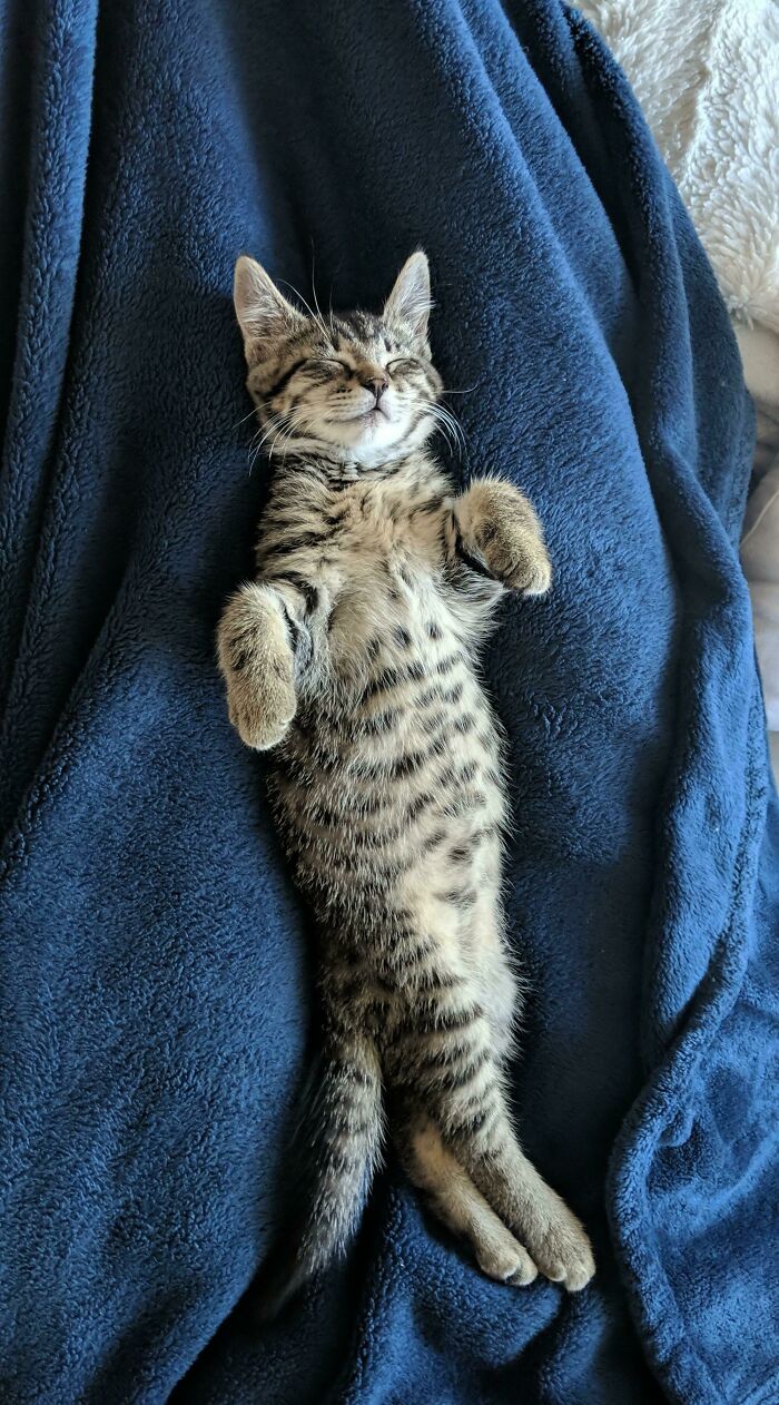 She's Got Sass Even In Her Sleep